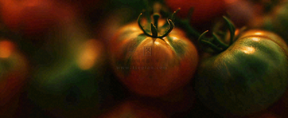 蔬菜西兰花西红柿番茄摄影摄影图