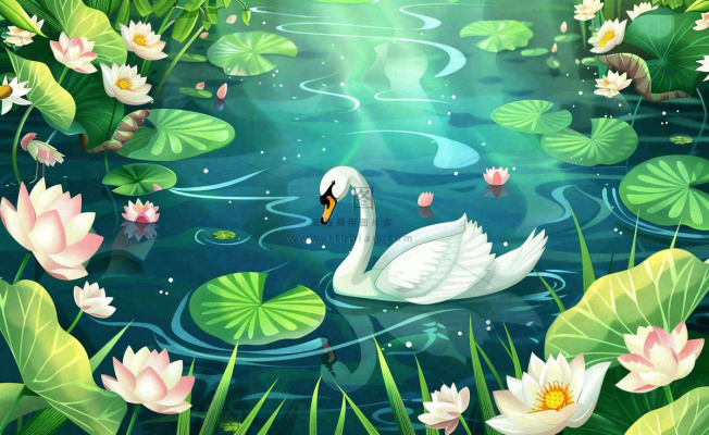 卡通夏天池塘天鹅荷叶荷花荷塘花朵立夏夏至大暑小暑卡通插画背景