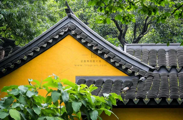 中式庭院屋檐绿植环境摄影图