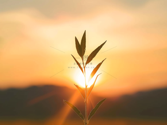 清晨日出朝霞云层山川摄影图