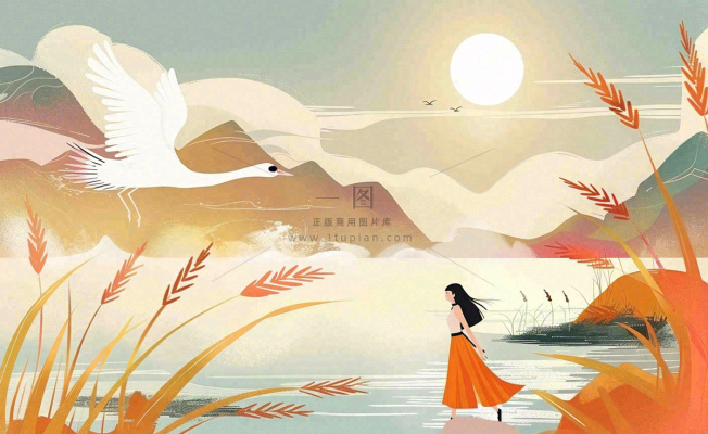 秋天夕阳下山水飞鹤女孩芦苇白露寒露插画背景