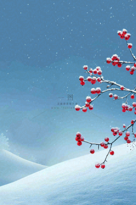 冬天雪山白霜红色果实覆盆子霜降寒露背景