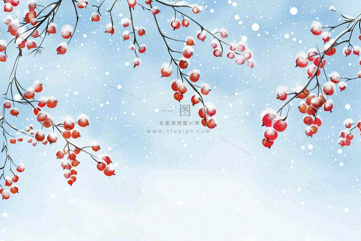 冬天白雪覆盖的红色果实白霜霜降小雪大雪水彩插画背景