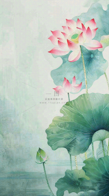 夏天荷花荷叶清凉小清新淡雅小暑大暑处暑插画背景