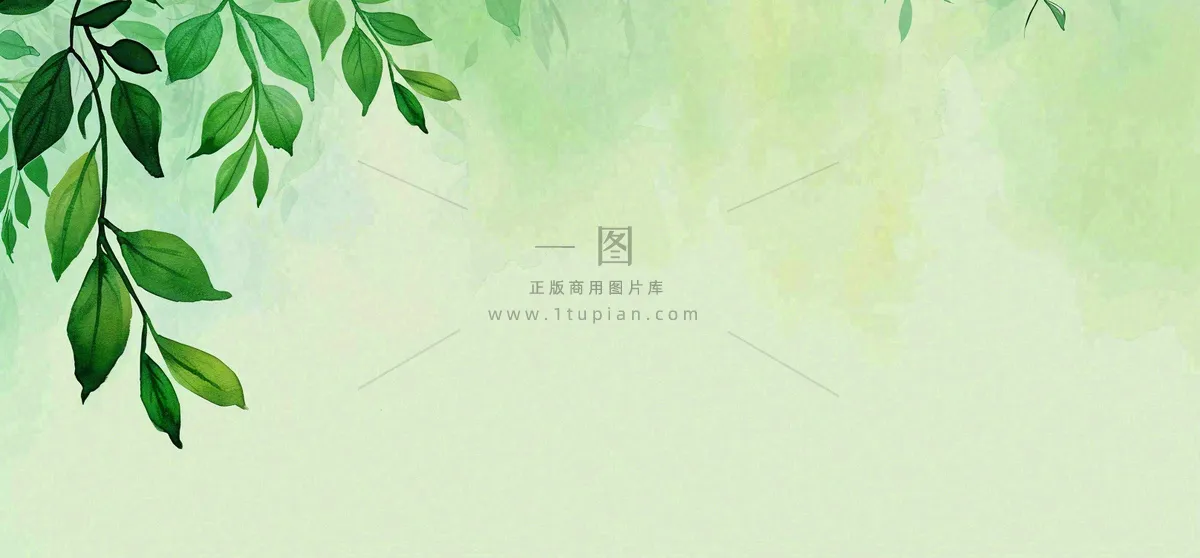 绿色简约绿植绿叶手绘插画笔墨意境