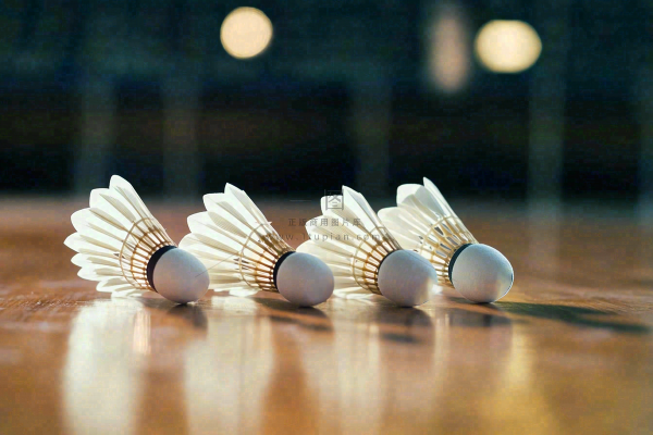 羽毛球竞技运动摄影图