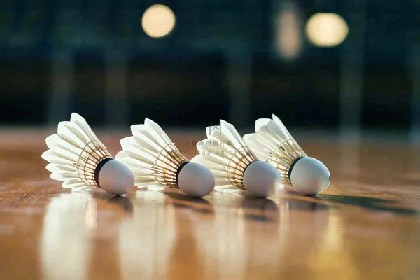 羽毛球竞技运动摄影图