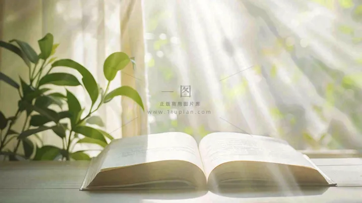 阳光下翻开的书本知识阅读世界读书日摄影图