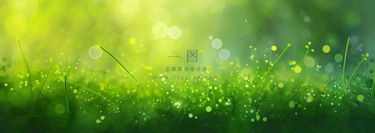 春天夏天绿色草地清新，春分立夏插画背景