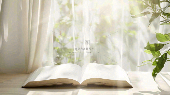 阳光下翻开的书本知识阅读世界读书日摄影图