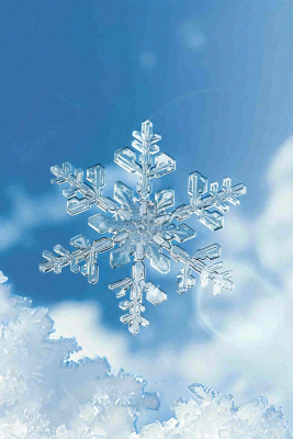 冬天白雪覆盖寒冷唯美雪景小寒插画背景