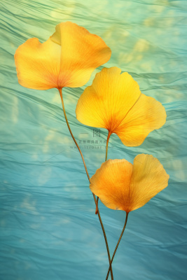 简约大气渐变银杏叶海报背景 简约大气渐变银杏叶海报背景