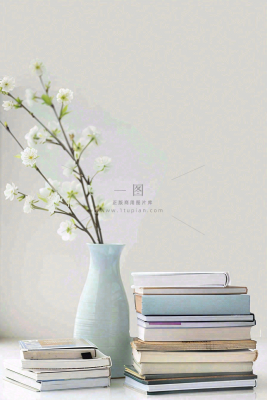 文静花瓶装饰书本阅读知识世界读书日摄影图