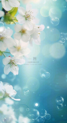 唯美清新白色鲜花,文艺新鲜浪漫情人节摄影图 唯美清新白色鲜花,文艺新鲜浪漫情人节摄影图