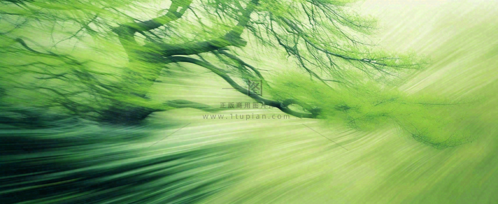 绿色植物树木绚丽虚幻背景