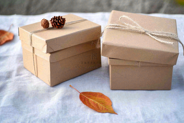 秋季金黄南瓜感恩节摄影图 秋季金黄南瓜感恩节摄影图