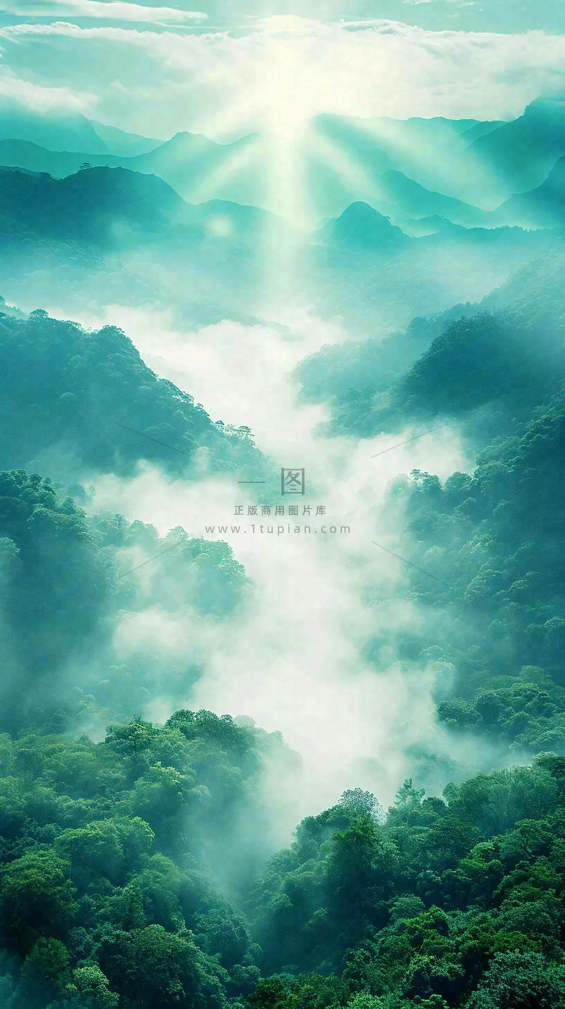中国风高山绿植森林丛林，阳光蓝天白云，户外