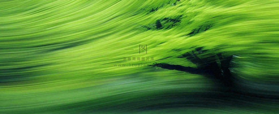 绿色植物树木绚丽虚幻背景