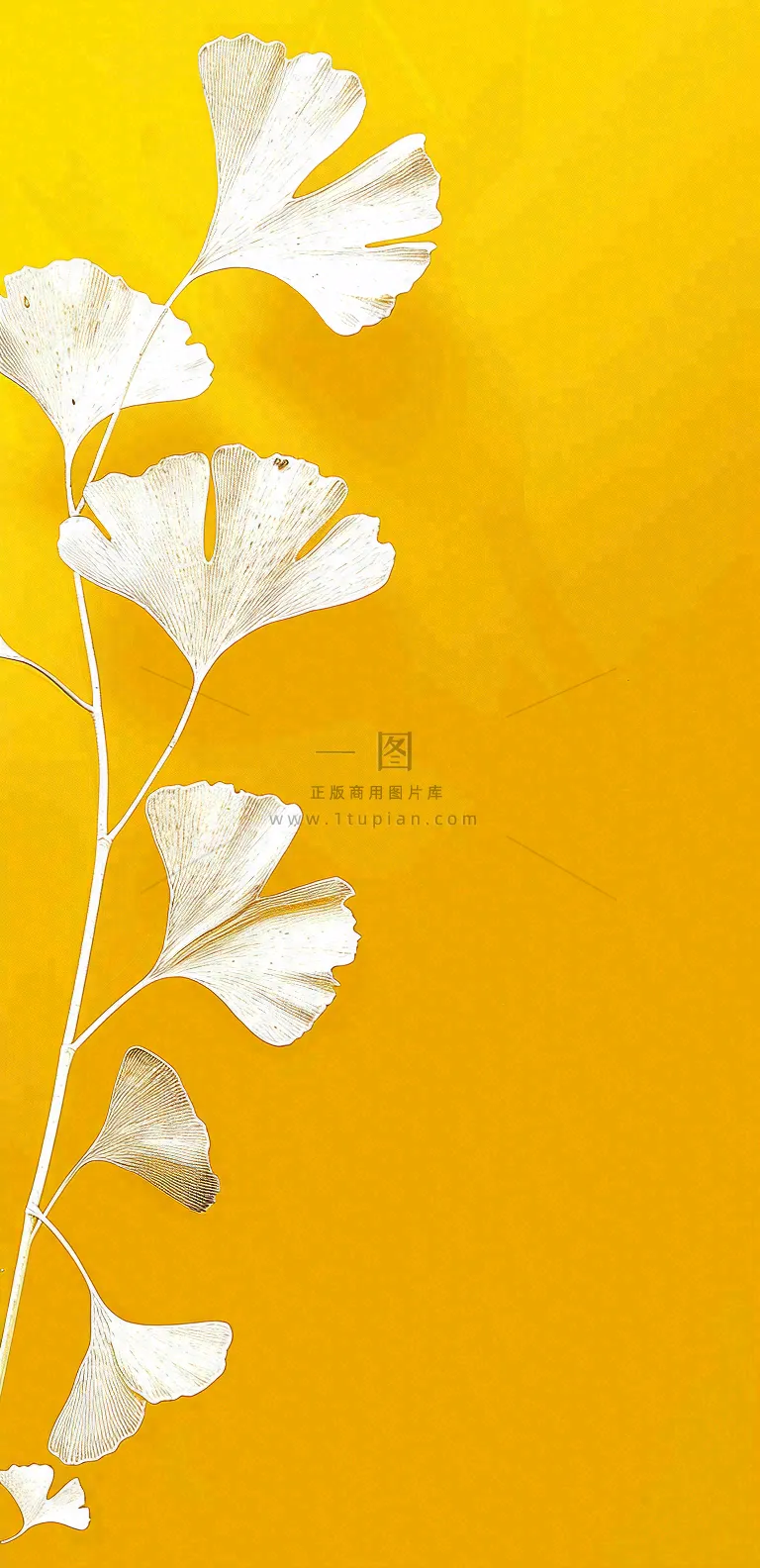 秋天秋分立秋
