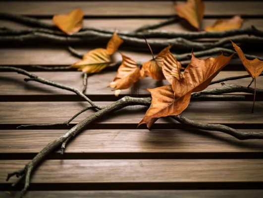 秋天落叶干枯树枝树叶摄影图