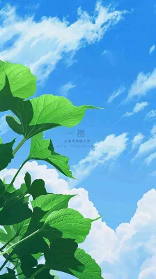 夏日荷叶绿色样式天空蓝天阳光清新白云，夏至小暑大暑处暑摄影图