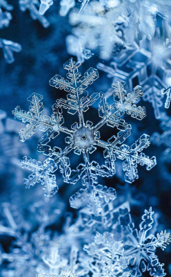 冬天寒冷白雪结冰大寒摄影图 冬天寒冷白雪结冰大寒摄影图