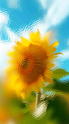 蓝天白云向日葵新鲜黄色花束，清新朦胧