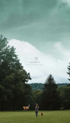 天空白云下的草坪放风筝，简约踏青春天摄影图