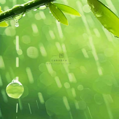 清新绿色春天绿芽叶子雨水露珠,春分谷雨摄影图 清新绿色春天绿芽叶子雨水露珠,春分谷雨摄影图