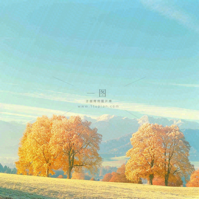 秋天黄色的树叶和草地肃杀的气氛,立秋,秋分 秋天黄色的树叶和草地肃杀的气氛,立秋,秋分