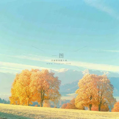 秋天黄色的树叶和草地肃杀的气氛,立秋,秋分 秋天黄色的树叶和草地肃杀的气氛,立秋,秋分