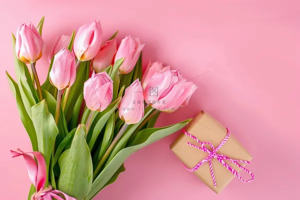 粉色鲜花礼物礼盒妇女节女神节摄影图