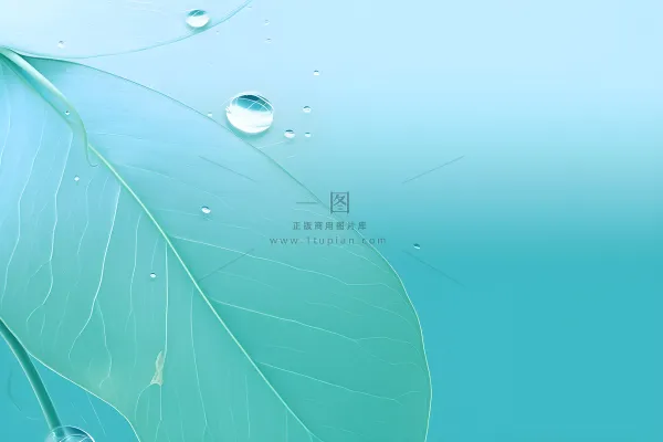 树叶露珠青色大气意境背景 树叶露珠青色大气意境背景