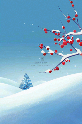 冬天雪山白霜红色果实覆盆子霜降寒露背景