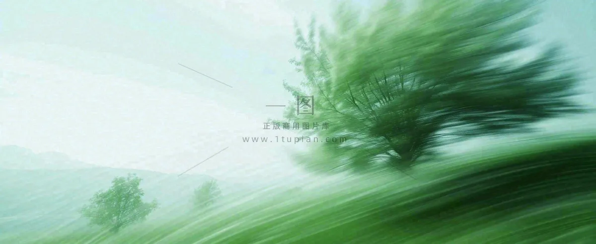 高山模糊绿树植物光影,大自然摄影图