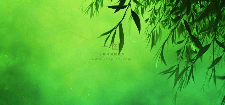 绿色简约绿植绿叶手绘插画笔墨意境