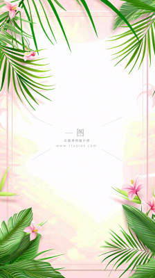 粉色鲜花绿植清新插画,书信书签邀请函 粉色鲜花绿植清新插画,书信书签邀请函