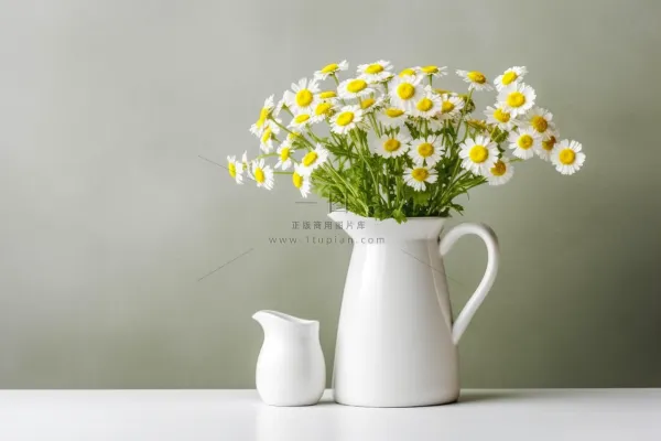 花瓶装的小雏菊鲜花摄影图