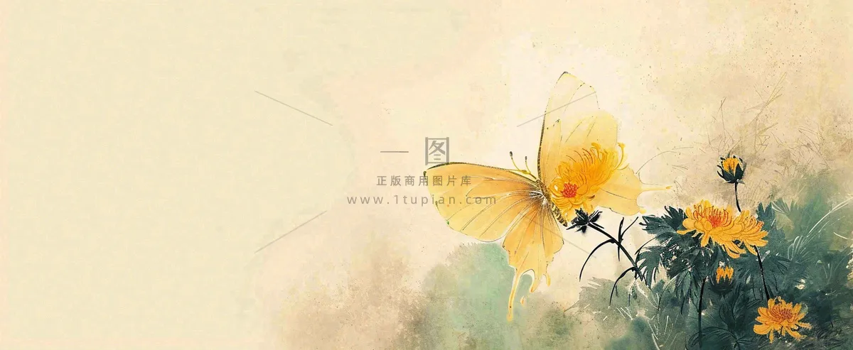 温馨纹理橙色花朵鲜花蝴蝶意境唯美，中国风