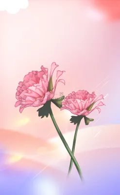 母亲节康乃馨花粉色背景