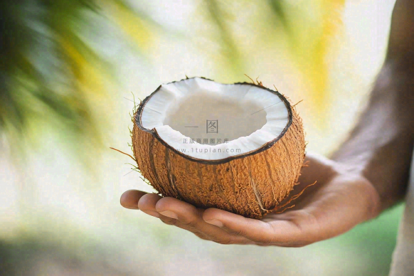 手捧椰子椰肉水果热带摄影图