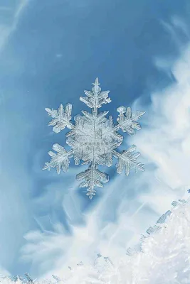 冬天寒冷白雪结冰大寒摄影图