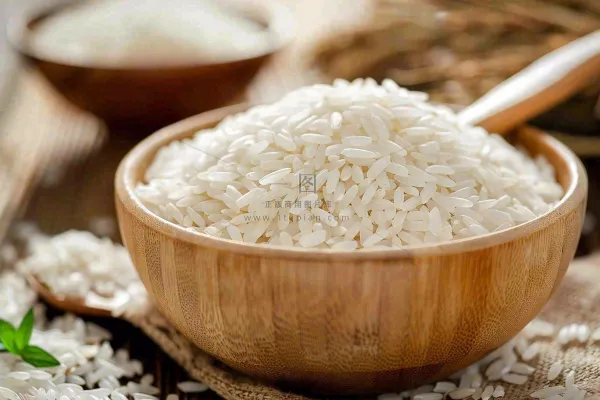 世界粮食日谷物米饭稻谷小麦摄影图