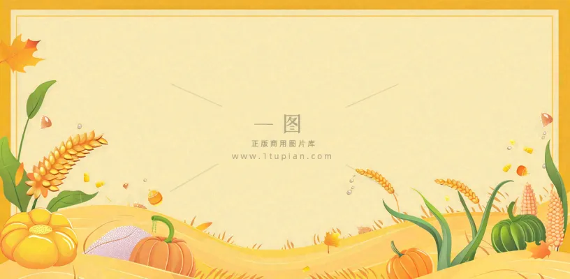 世界粮食日稻谷麦穗秋收卡通插画芒种秋分背景