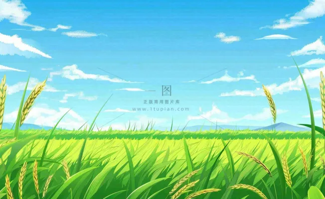 春天草场莺飞小麦地绿色麦苗小满芒种立夏卡通插画背景