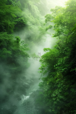 春天森林河流水汽绿意雾气摄影图 春天森林河流水汽绿意雾气摄影图