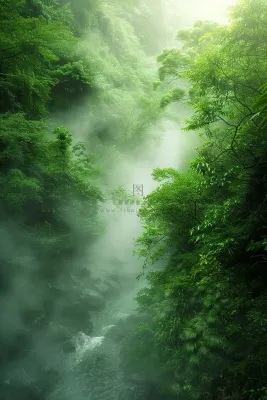 春天森林河流水汽绿意雾气摄影图 春天森林河流水汽绿意雾气摄影图