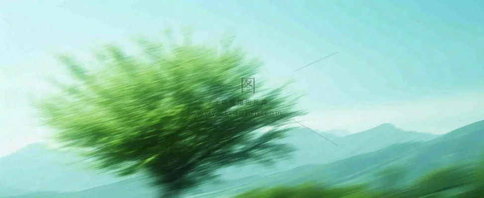 高山模糊绿树植物光影，大自然摄影图