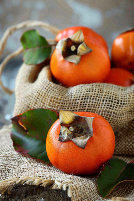 金黄成熟柿子水果秋天丰收秋分立秋摄影图