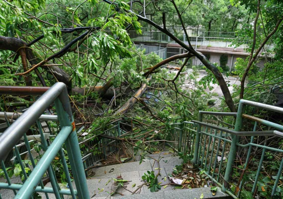 台风预警天气自然灾害